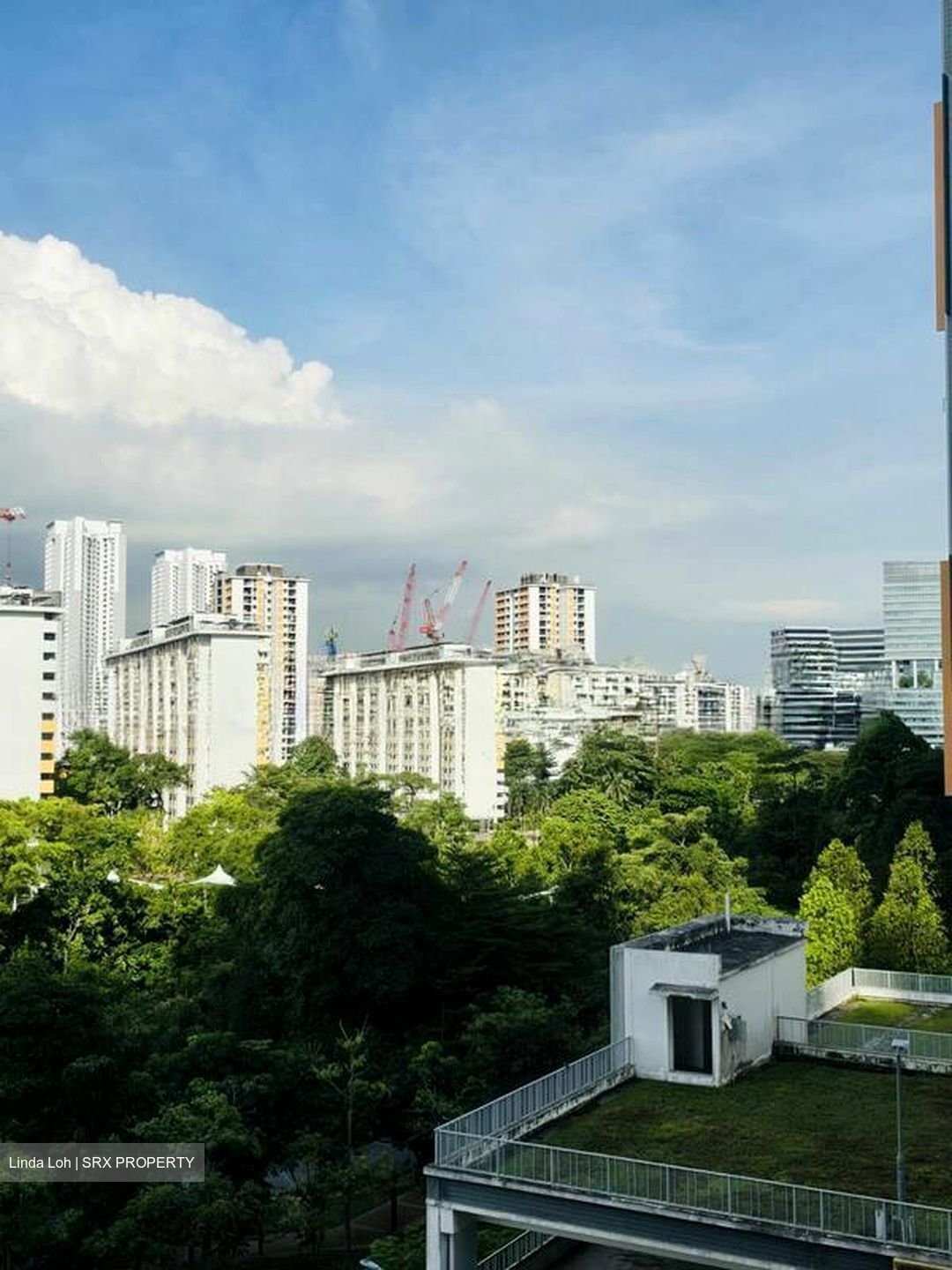 Blk 33 Ghim Moh Edge (Queenstown), HDB 3 Rooms #497631021